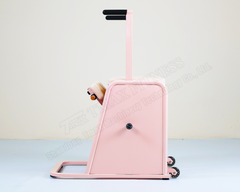 DZ138-10 Metal Ladder Barrel Strong Support for Core Control and Spine Mobility